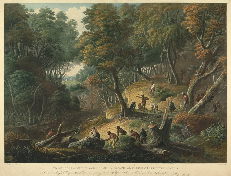 Emboscada de cimarrones en la finca Dromilly, 1795