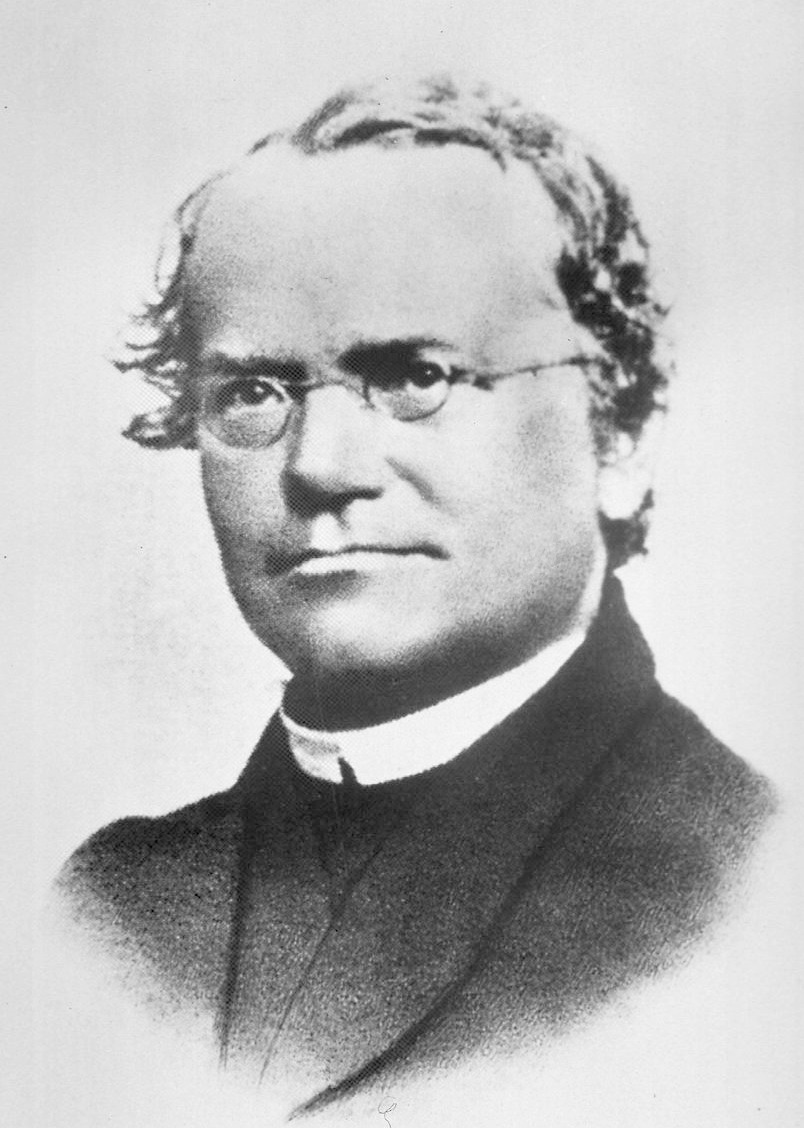 File:Gregor Mendel.jpg