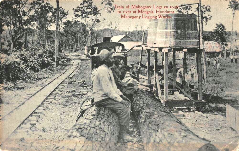 Locomotora Heisler para transporte de caoba, hacia 1926