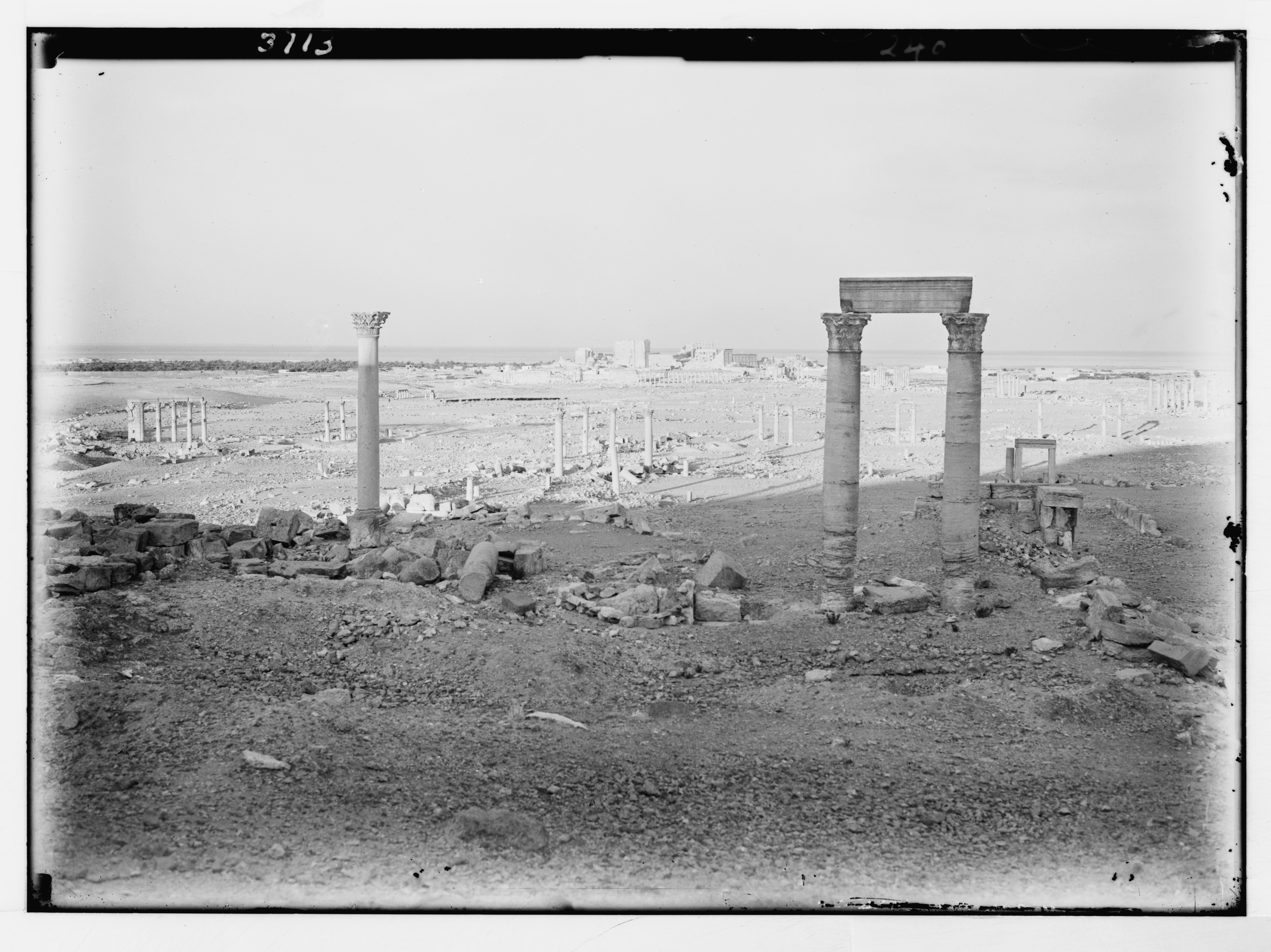 Vista general de las ruinas de Palmira
